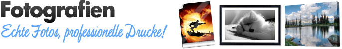 Fotodrucke & Fotografien